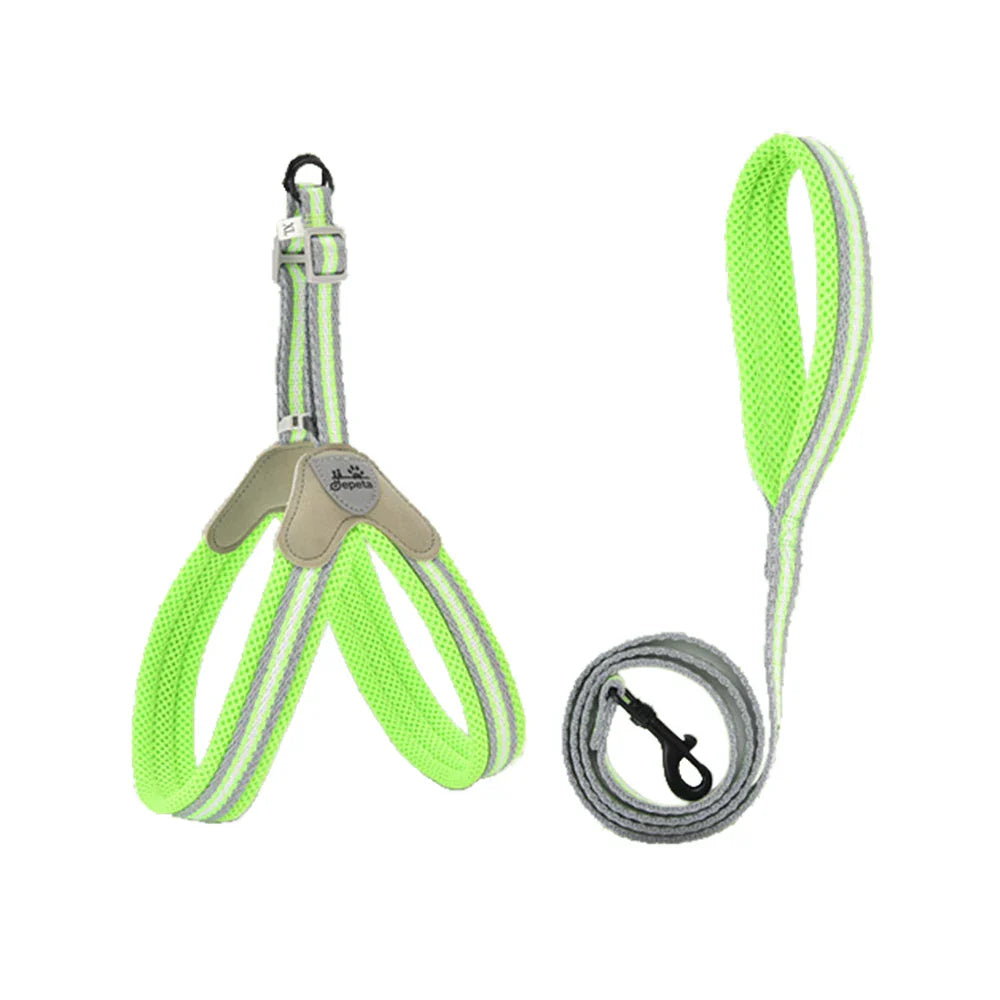 Harnais et laisse pour chien en vert fluo avec rembourrage confortable et réglable