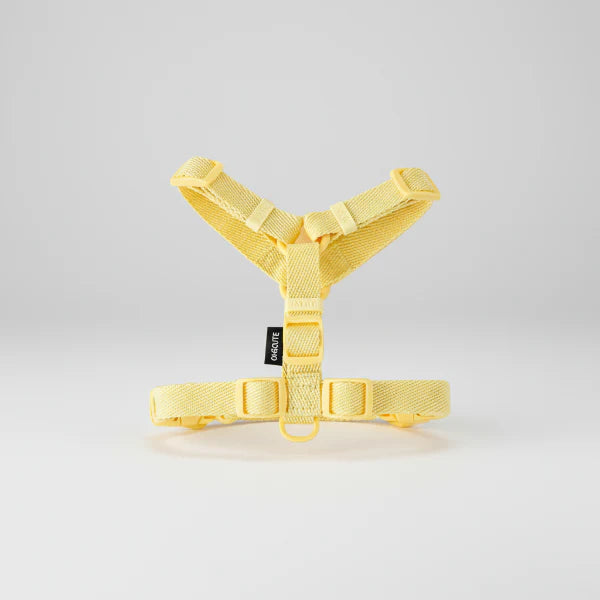 Harnais jaune en nylon doux Oscar et Plume harnais et laisse pour petit chien réglable et confortable