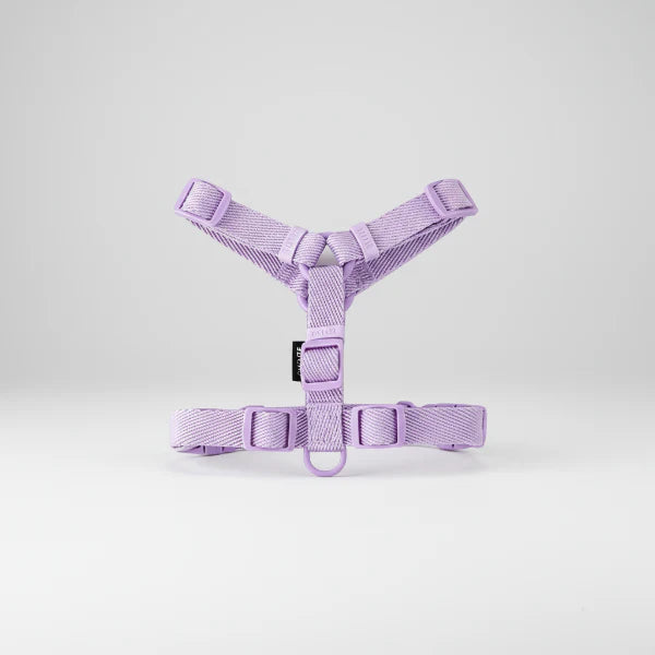 Harnais et laisse pour petit chien violet clair ajustable de la marque Oscar et Plume