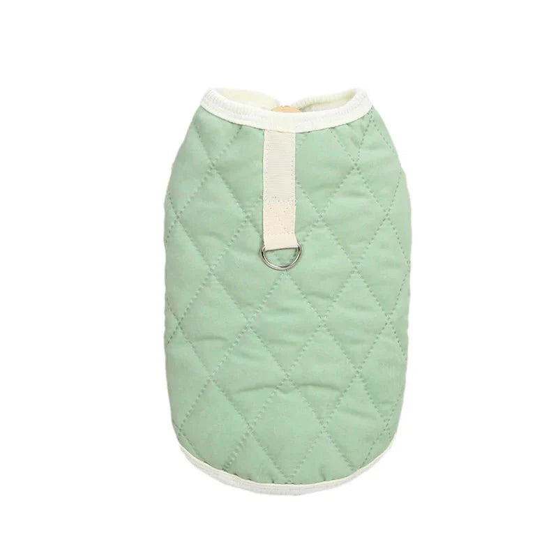 Harnais Gilet Chat