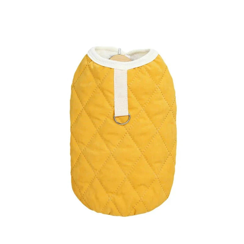Harnais Gilet Chat