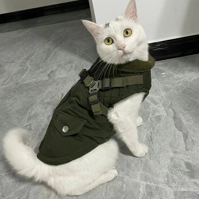 Harnais Manteau Chat