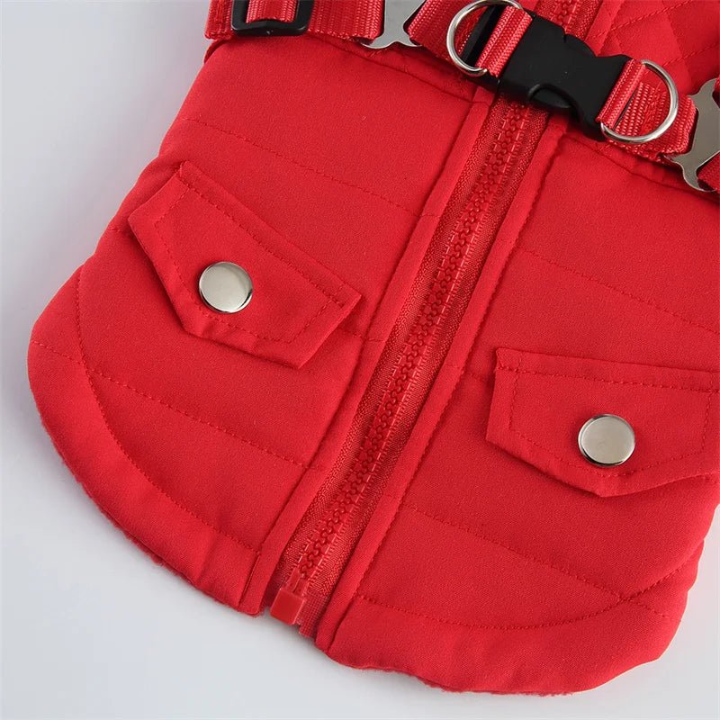 Harnais Manteau Chat