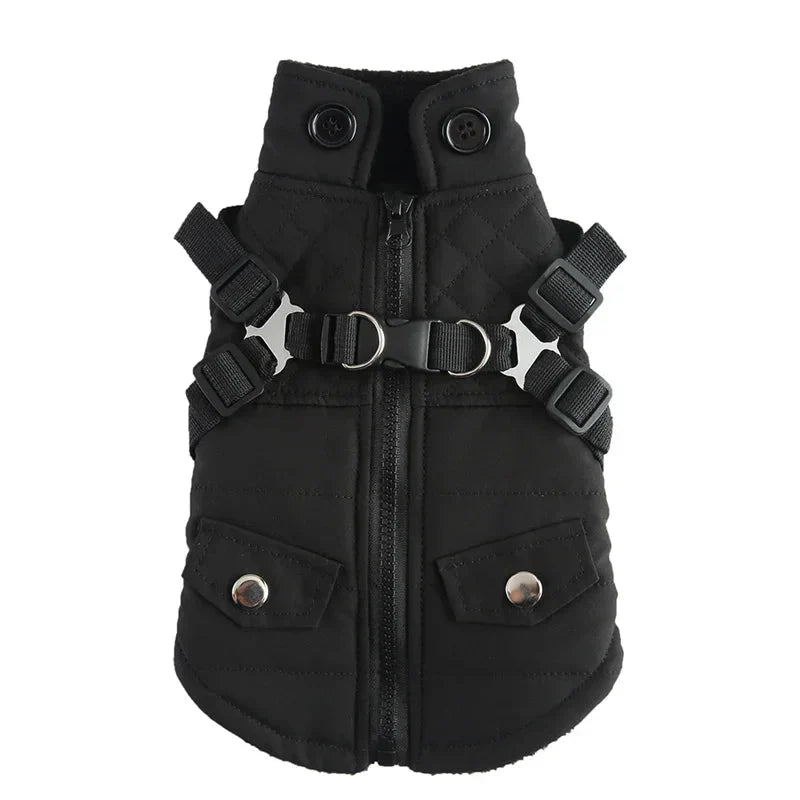 Harnais Manteau Chat