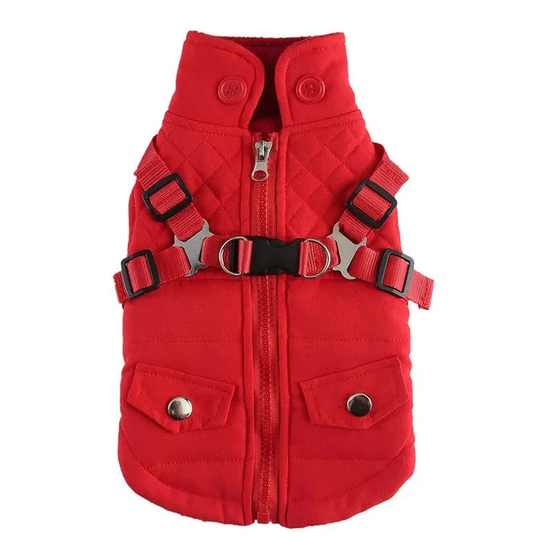 Harnais Manteau Chat