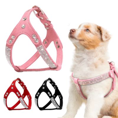 HARNAIS PETIT CHIEN GLAMWALK™