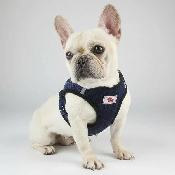 Harnais Pour Petit Chien Velours Côtelé
