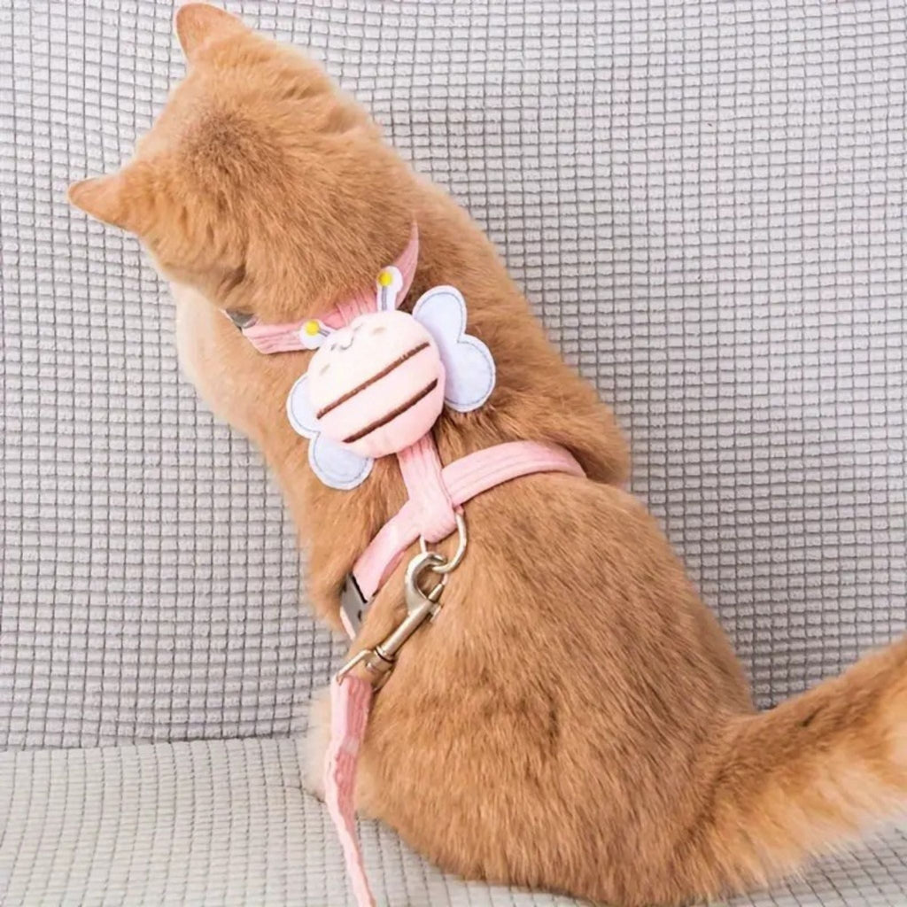 harnais pour chat | STYLÉ