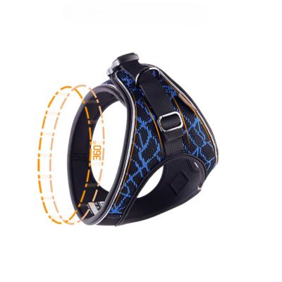 Harnais pour chien | EasyGo™