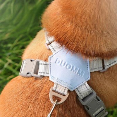 Harnais pour chien | XtraPaw™