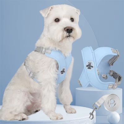 Harnais pour chien | XtraPaw™