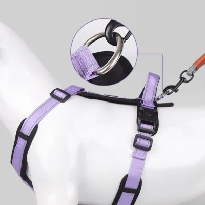 Harnais pour chien | TrackGuard™