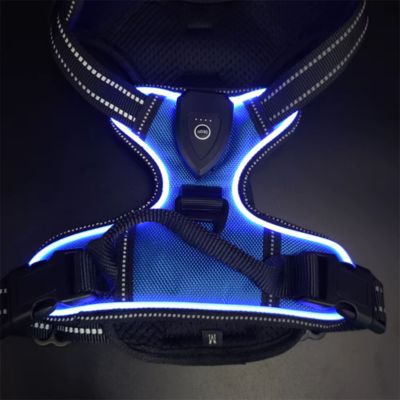HARNAIS POUR CHIEN - GLOWPUP™