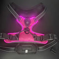 harnais-pour-chien-lumineux-rose