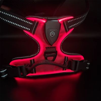 harnais-pour-chien-lumineux-rouge