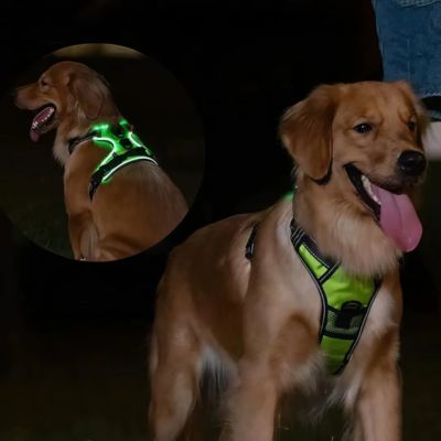 HARNAIS POUR CHIEN - GLOWPUP™