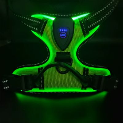 HARNAIS POUR CHIEN - GLOWPUP™