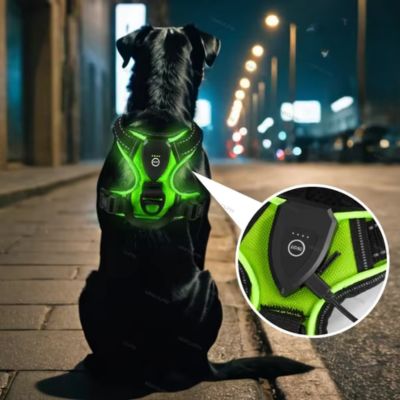 HARNAIS POUR CHIEN - GLOWPUP™
