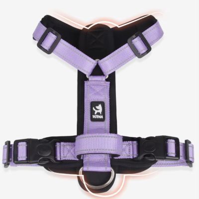 Harnais pour chien | TrackGuard™