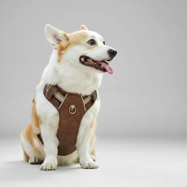 Harnais Réglable Pour Chien Moyen Et Grand