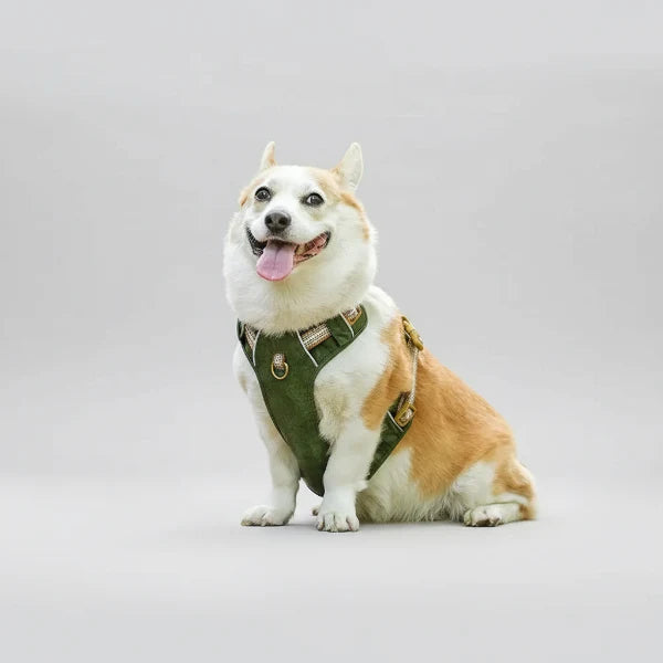 Harnais Réglable Pour Chien Moyen Et Grand