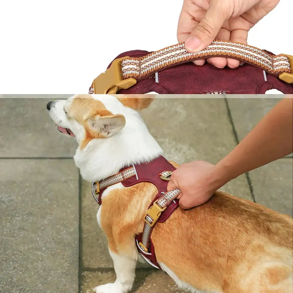 Harnais Réglable Pour Chien Moyen Et Grand