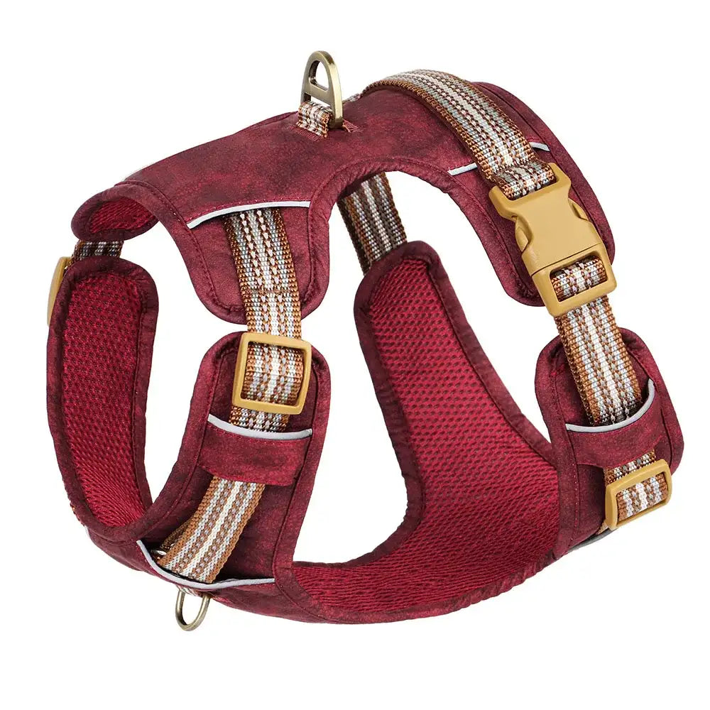 Oscar et Plume harnais pour chien moyen et grand en mesh rembourré bordeaux avec boucles dorées réglable