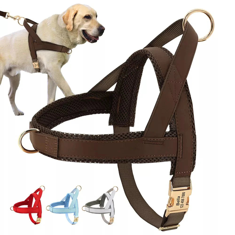 Harnais pour chien personnalisé réglable – Oscar et Plume