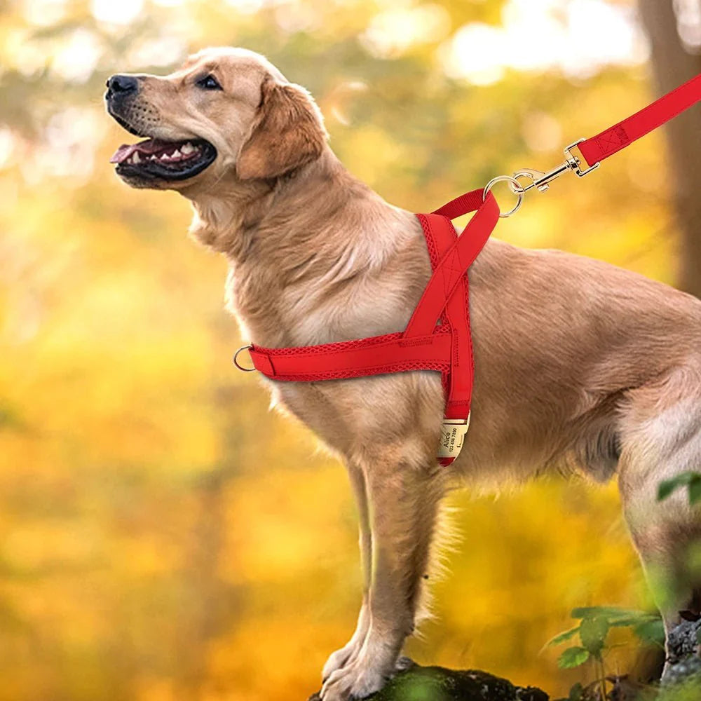 Harnais pour chien personnalisé réglable – Oscar et Plume