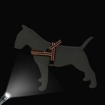 Harnais pour chien | PawEase™