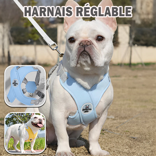 Harnais pour chien | XtraPaw™
