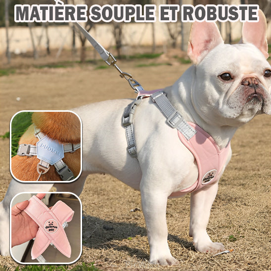 Harnais pour chien | XtraPaw™