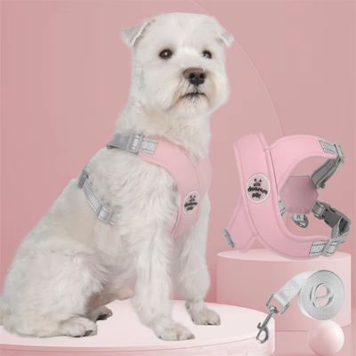 Harnais pour chien | XtraPaw™