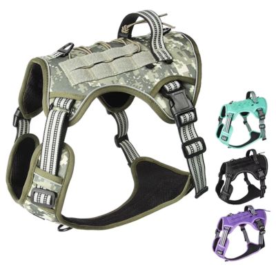 HARNAIS POUR CHIEN – ALPHAY™