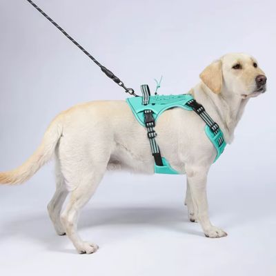 HARNAIS POUR CHIEN – ALPHAY™