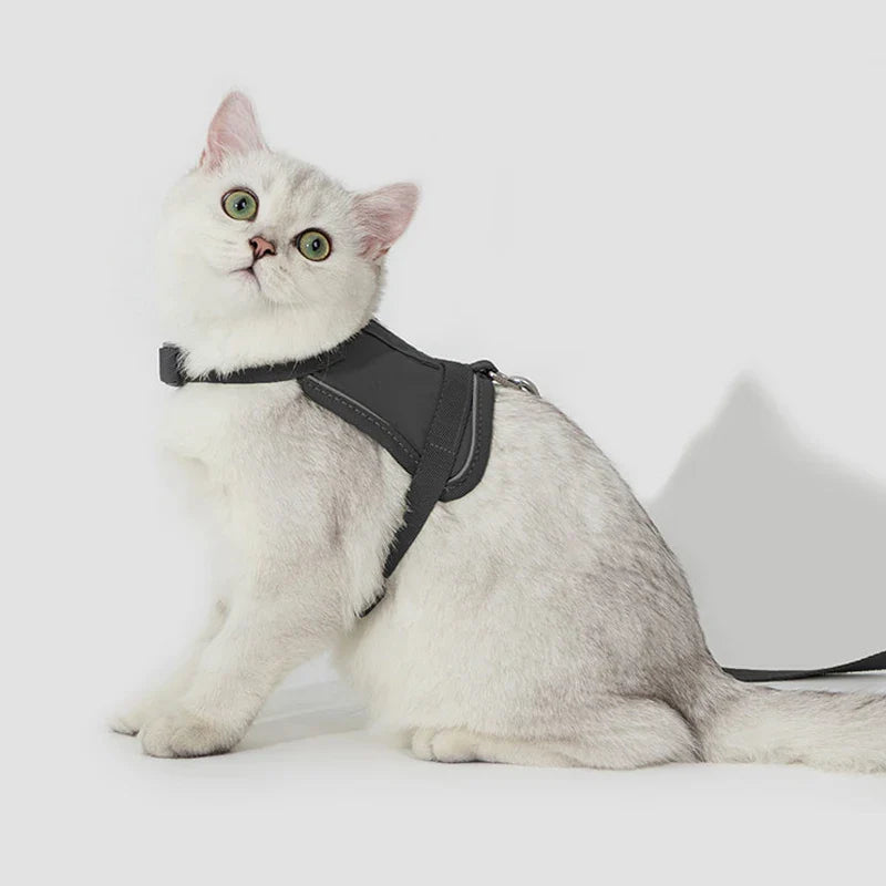 Harnais Réfléchissant Pour Chat Avec Laisse Coordonnée