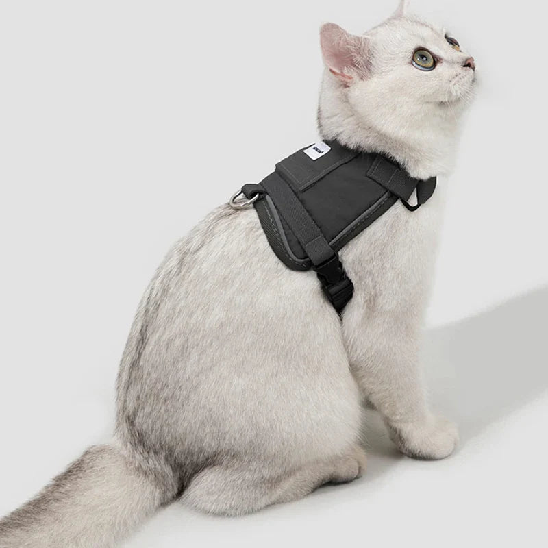 Harnais Réfléchissant Pour Chat Avec Laisse Coordonnée
