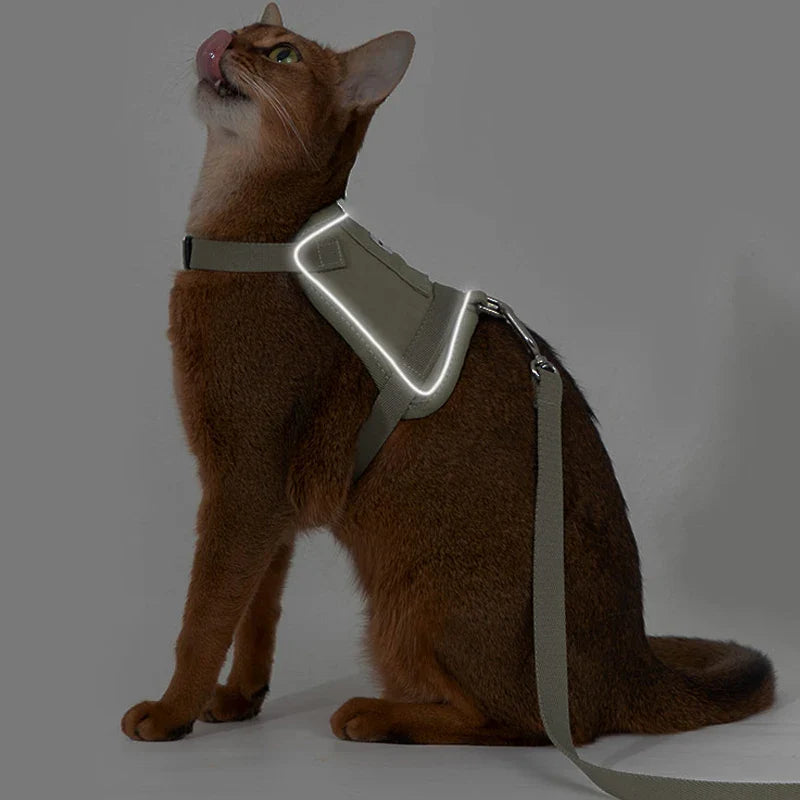 Harnais Réfléchissant Pour Chat Avec Laisse Coordonnée