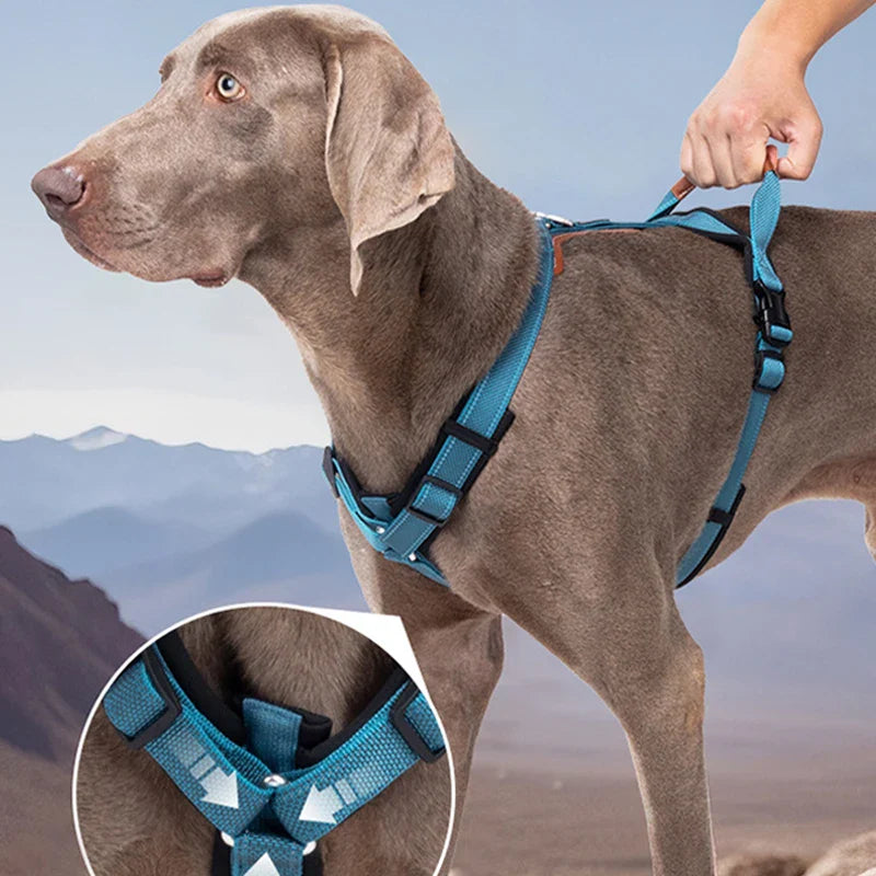 Harnais Réfléchissant Et Résistant Pour Chien