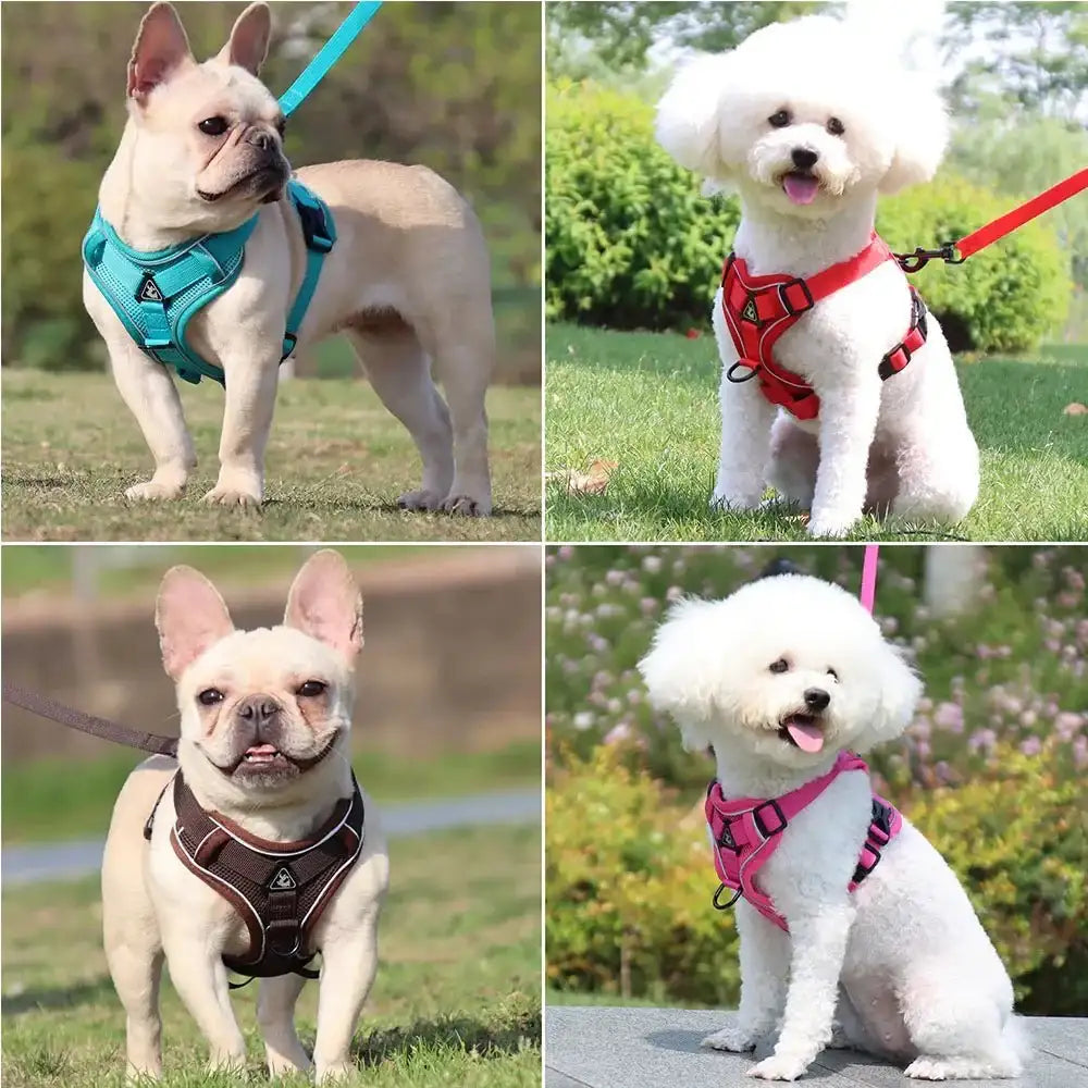 Harnais Réfléchissant Pour Chien Avec Laisse De 1,5 Mètre - Les Bonnes Affaires