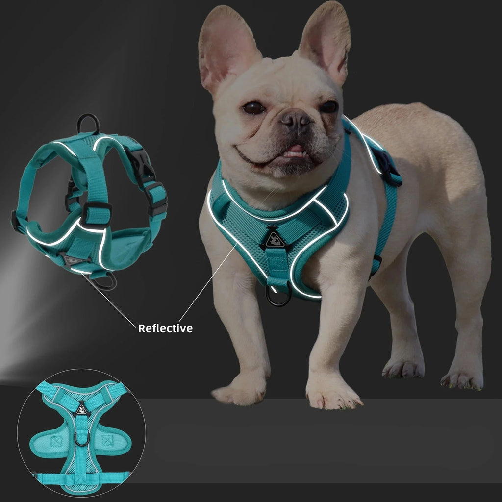 Harnais Réfléchissant Pour Chien Et Laisse