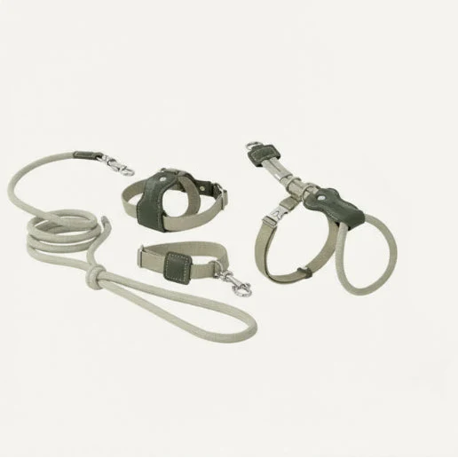 Harnais réglable pour chat Oscar et Plume en beige avec laisse assortie pour promenades confortables