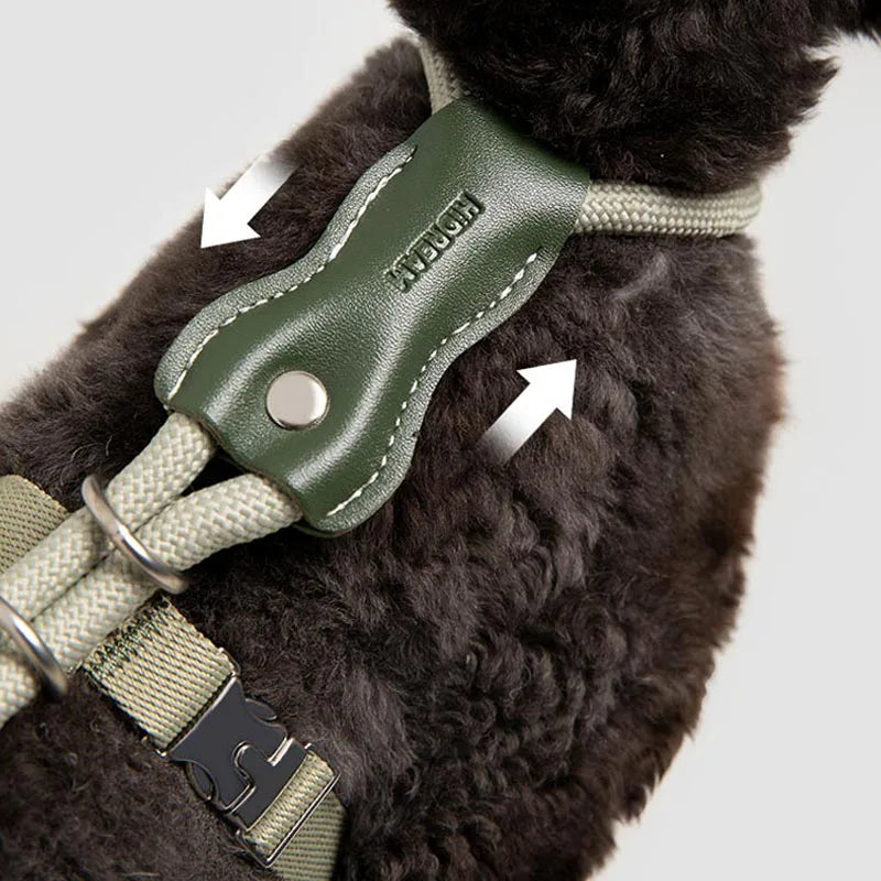Harnais Et Laisse Pour Chat Réglable