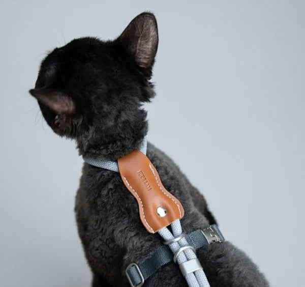 Harnais Et Laisse Pour Chat Réglable