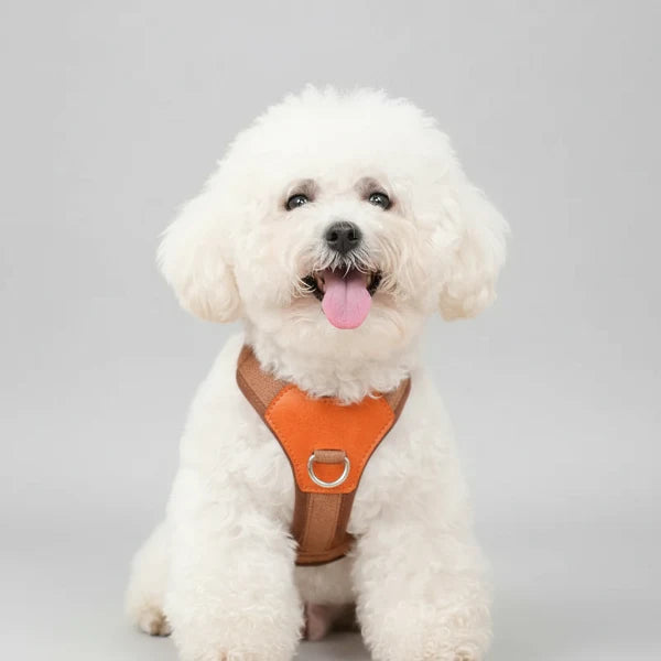 Harnais Robuste Pour Chien Ajustable