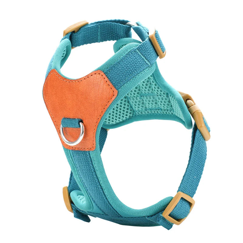 Oscar et Plume harnais robuste pour chien bleu turquoise rembourre avec plaque cuir orange et anneau metal