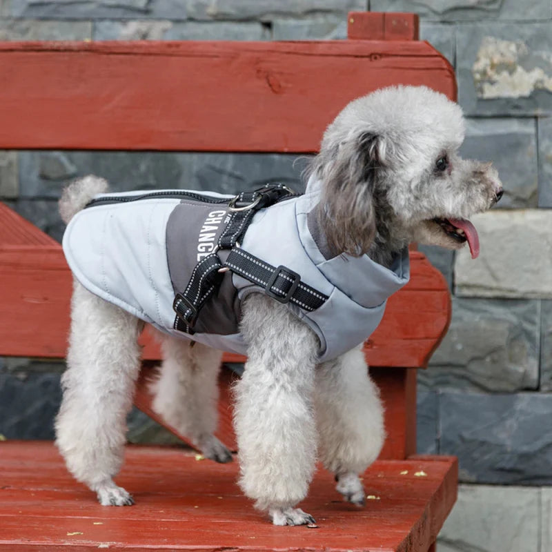 Harnais Veste pour Chien