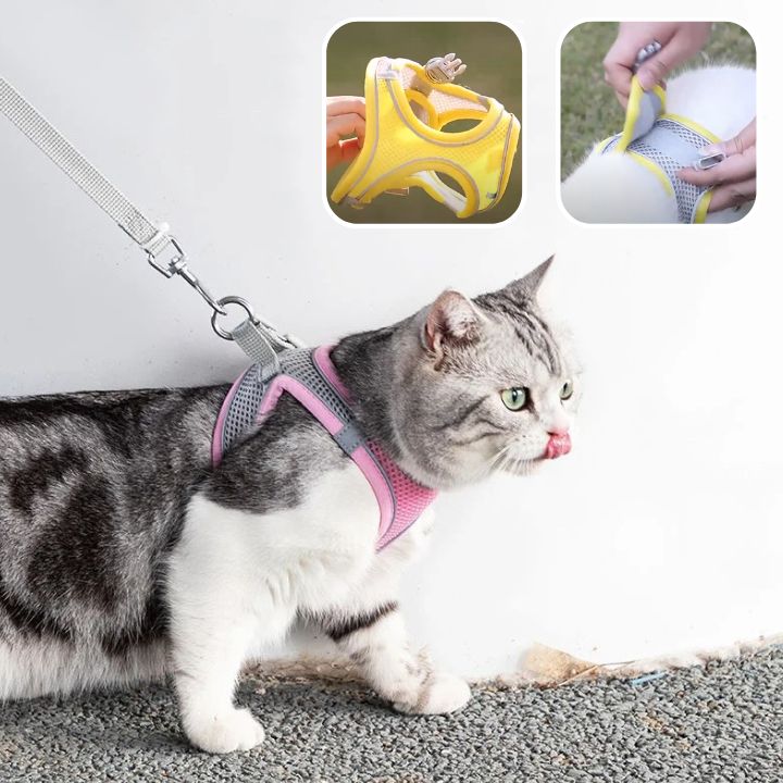 harnais chat anti-fugue| EXPLORER HARNESS