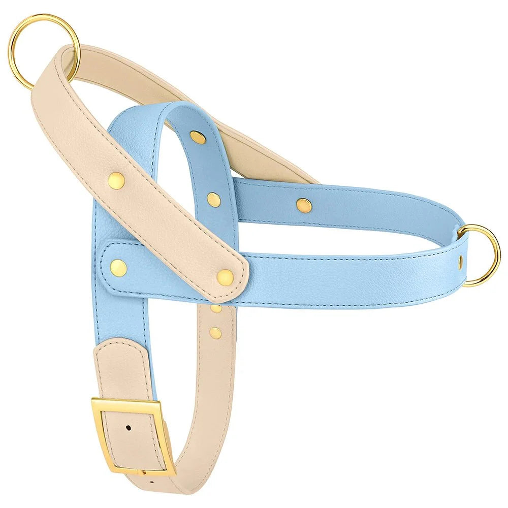 Harnais Élégant 3 Couleurs Pour Chien