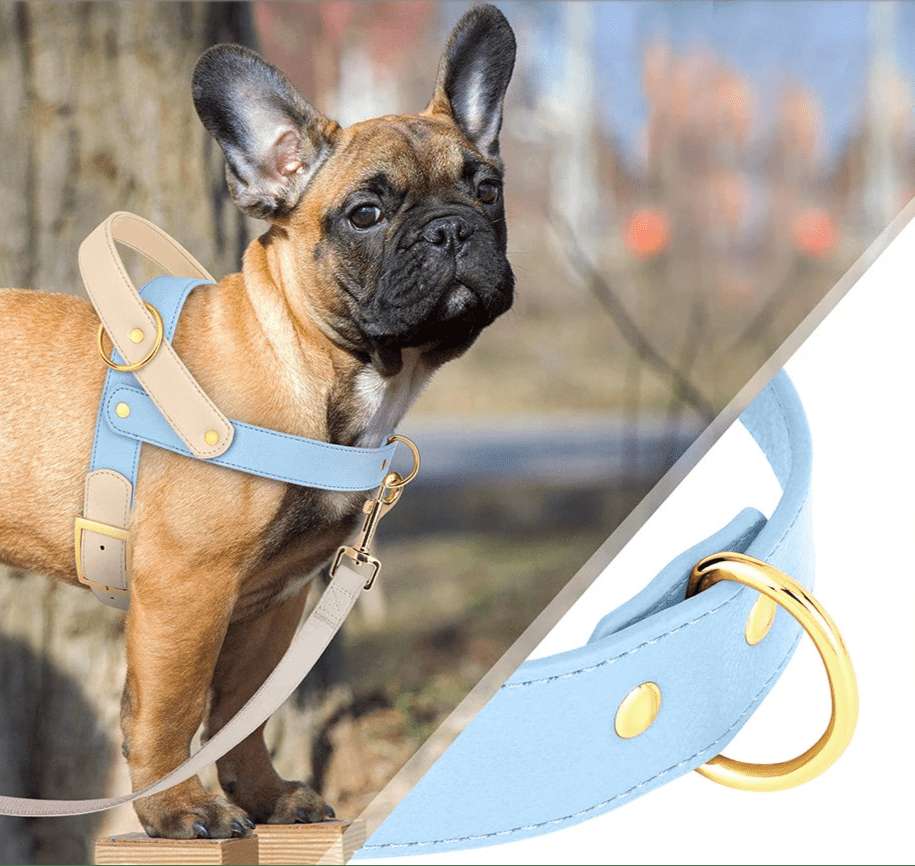 Harnais Élégant 3 Couleurs Pour Chien